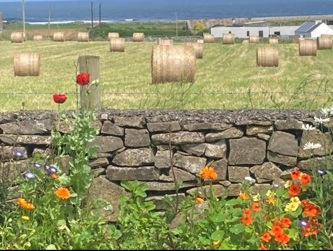 Wild Atlantic View Acomodação com café da manhã Sligo Exterior foto